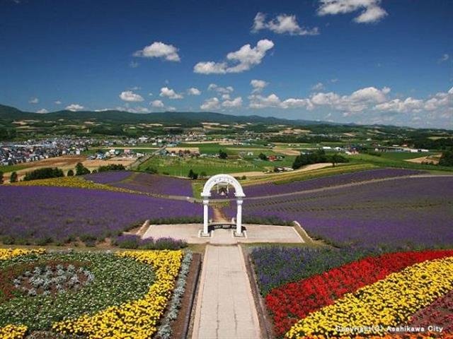 🌸 일출 공원(히노데 코엔) 이미지 1